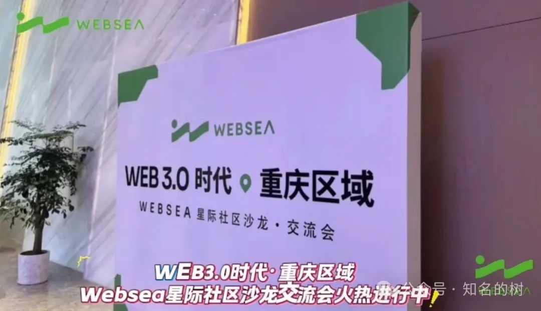 别再被蒙在鼓里!Websea资金盘真相全揭秘!