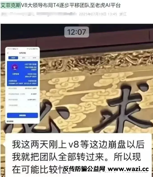 【Aifeex 艾菲克斯】分红资金盘；说白了，就是披着区块链外衣的庞氏骗局！