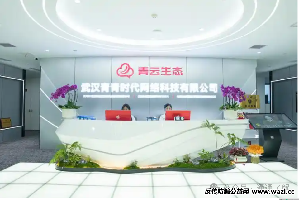 【青云租】爆雷揭秘：年化16.8%的“躺赚”骗局，如何让数千投资者血本无归？