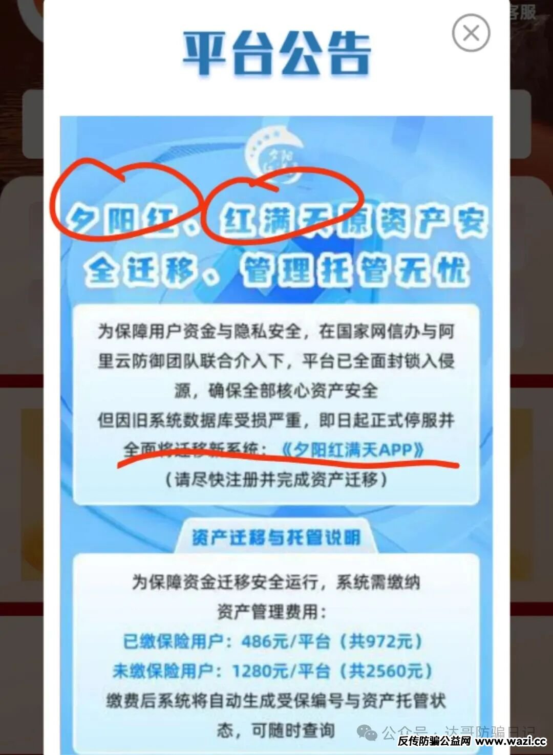 崩盘提醒:【夕阳红满天】资金盘即将收网，操盘手的狂欢，韭菜们的噩梦，及时止损，不要越陷越深！